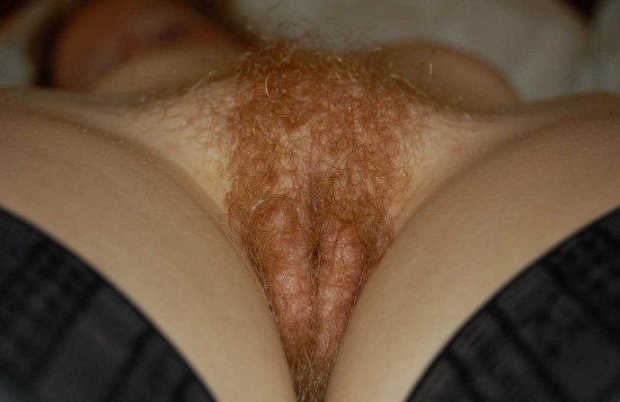 Рыжий женский волосатый лобок