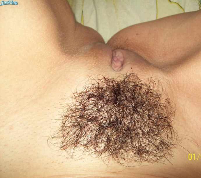 Домашние волосатые киски