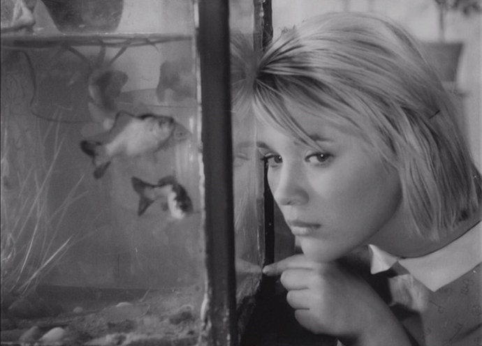 Дикая собака Динго (1962)