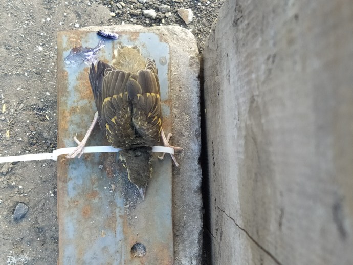 Программы профессиональной переподготовки