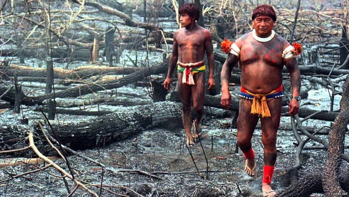 Пираты амазонки