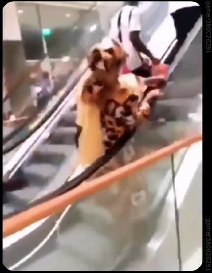 Майонез на эскалаторе