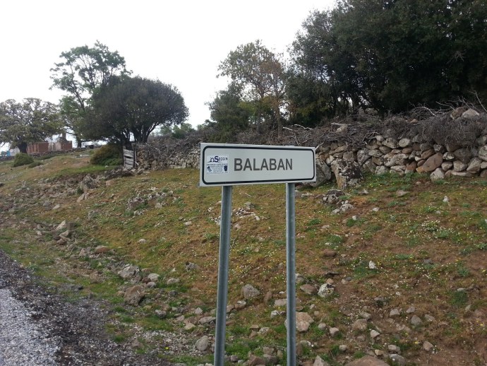 Божья коровка тату чб