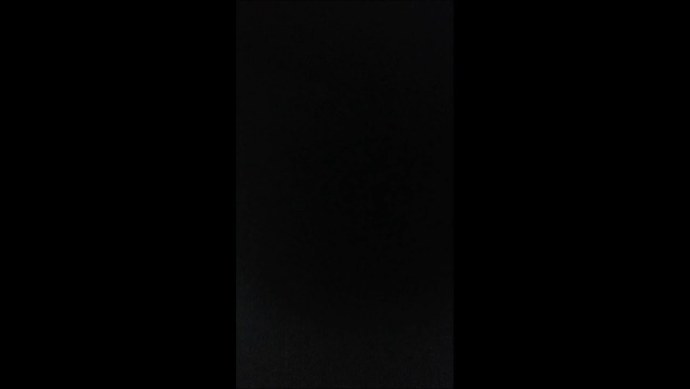 Габи волейболистка