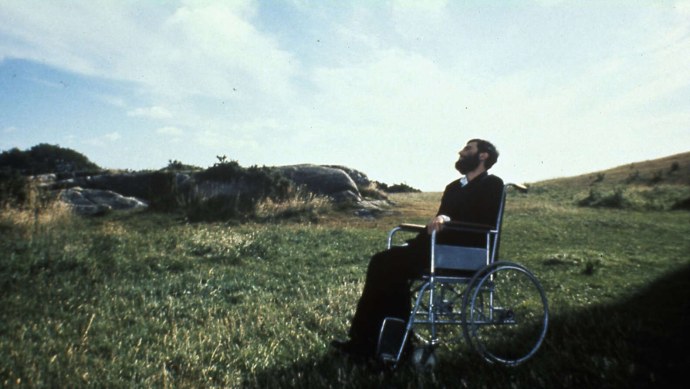 Кристи Браун