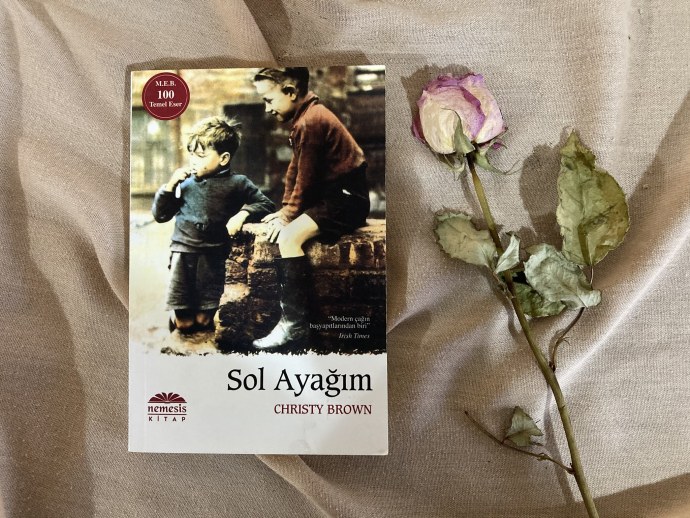 WEAREHAIRY Christy: Christy strips naked on her Orange Sofa , picture