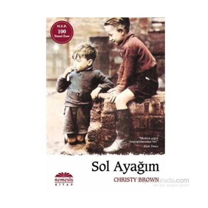 Кристи Браун картины