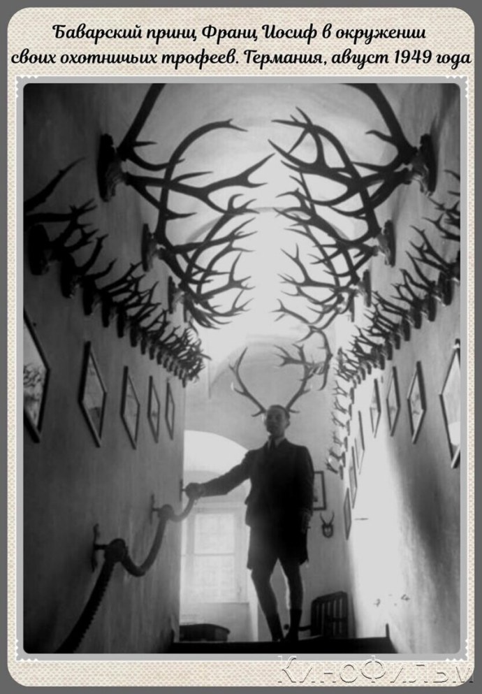 Рогоносец демотиватор