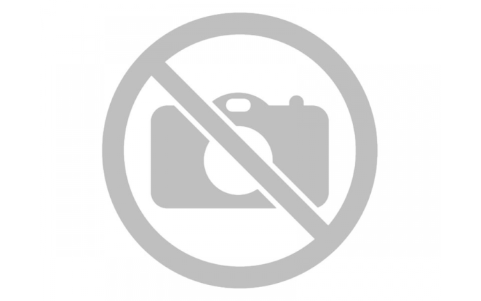 Фото монохром девушка в платье стоя