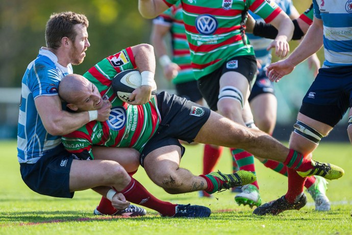 Англия регби 2015-2016