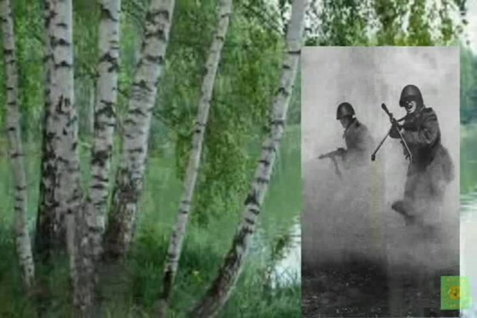 Наталья Валерьевна Кличко