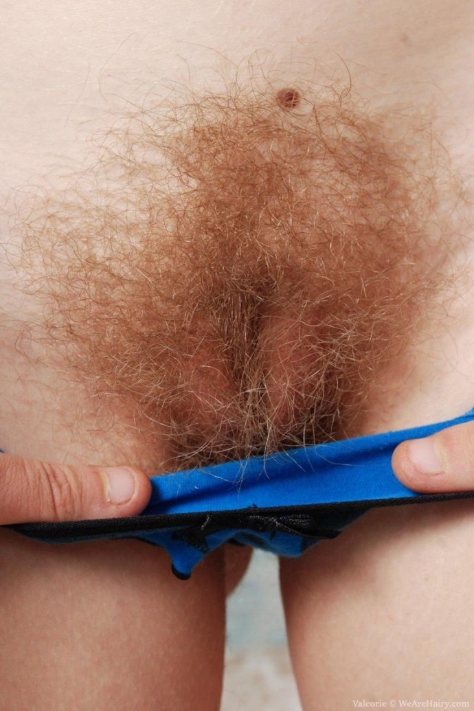 Красивые женские писечки с волосами