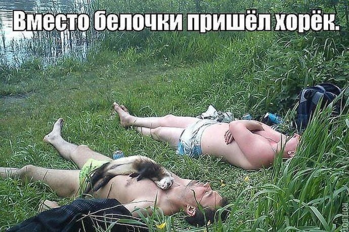 Голые пьяные русские старухи