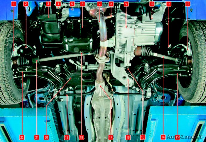 Чулки с жирком аниме