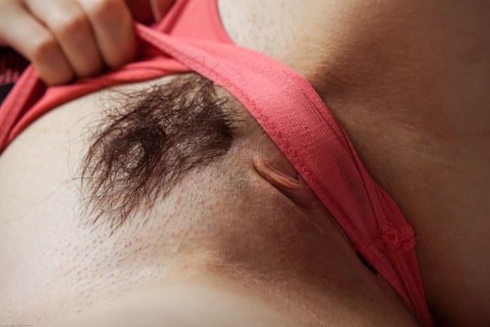 Волосатые киски в колготках