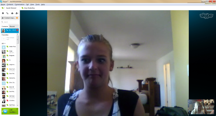 Развод в скайпе