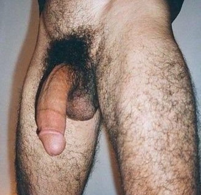 Волосатые мужские половые органы