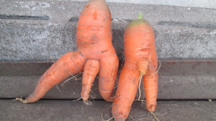 Крутые шутки