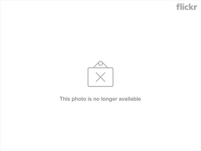 Член шимпанзе