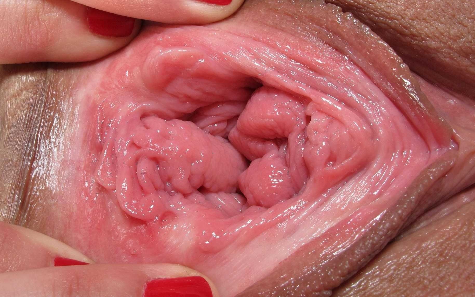 сперма внутри женского организма фото 108