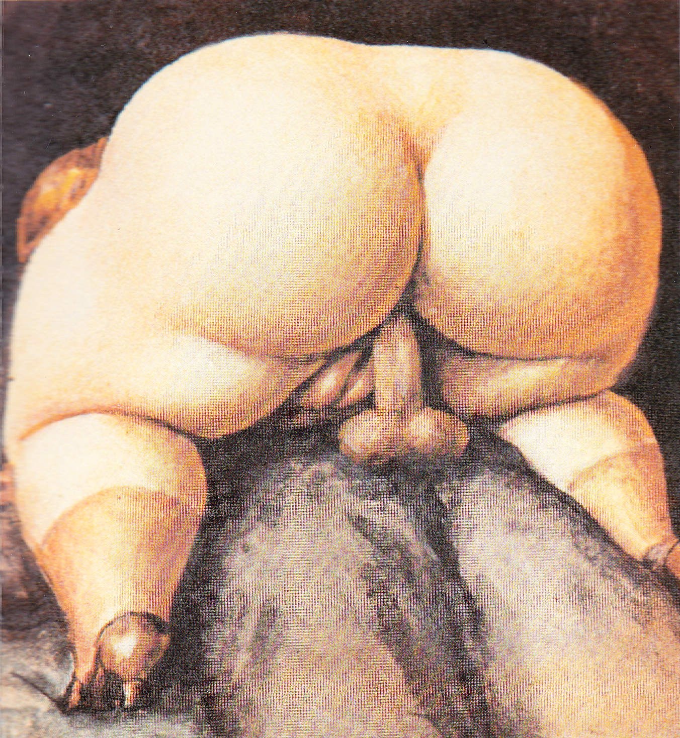 Рисованные голые толстушки (62 фото) - секс и порно intim-top.ru
