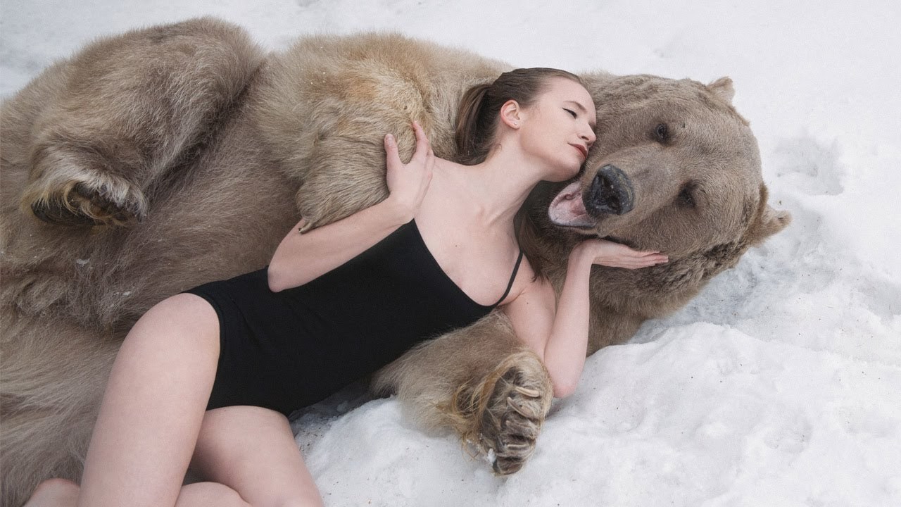 Медведь и девушка видео смотреть