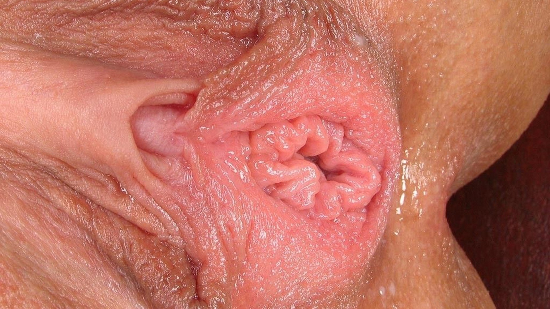 Наружные половые органы женщины (79 фото) - секс фото