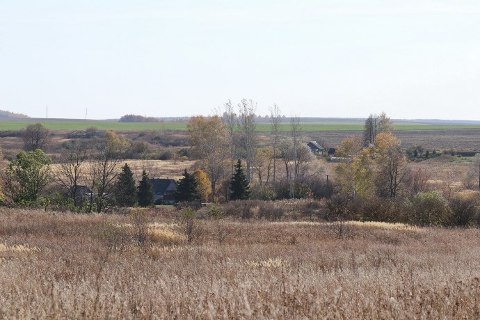 Тепловка Новобурасский район