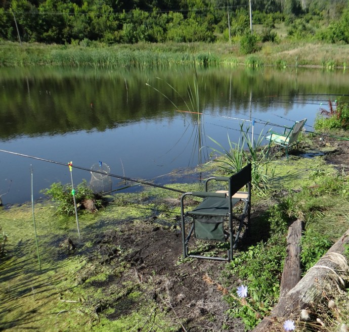 Озернинский рыбопитомник