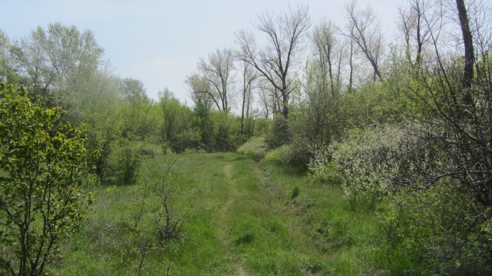 Тепловка Новобурасский район