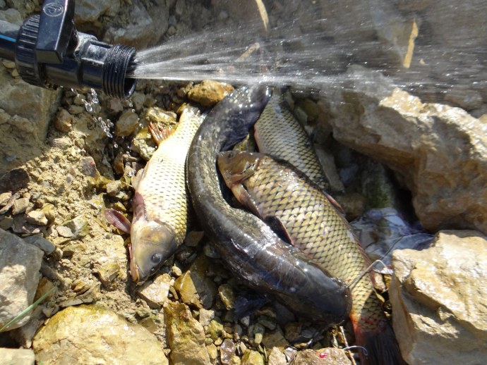 Лох населённый пункт