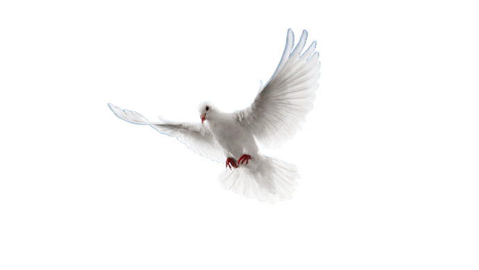 Наращивание ресниц Минимализм