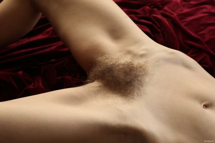 Маленькие волосики на лобке