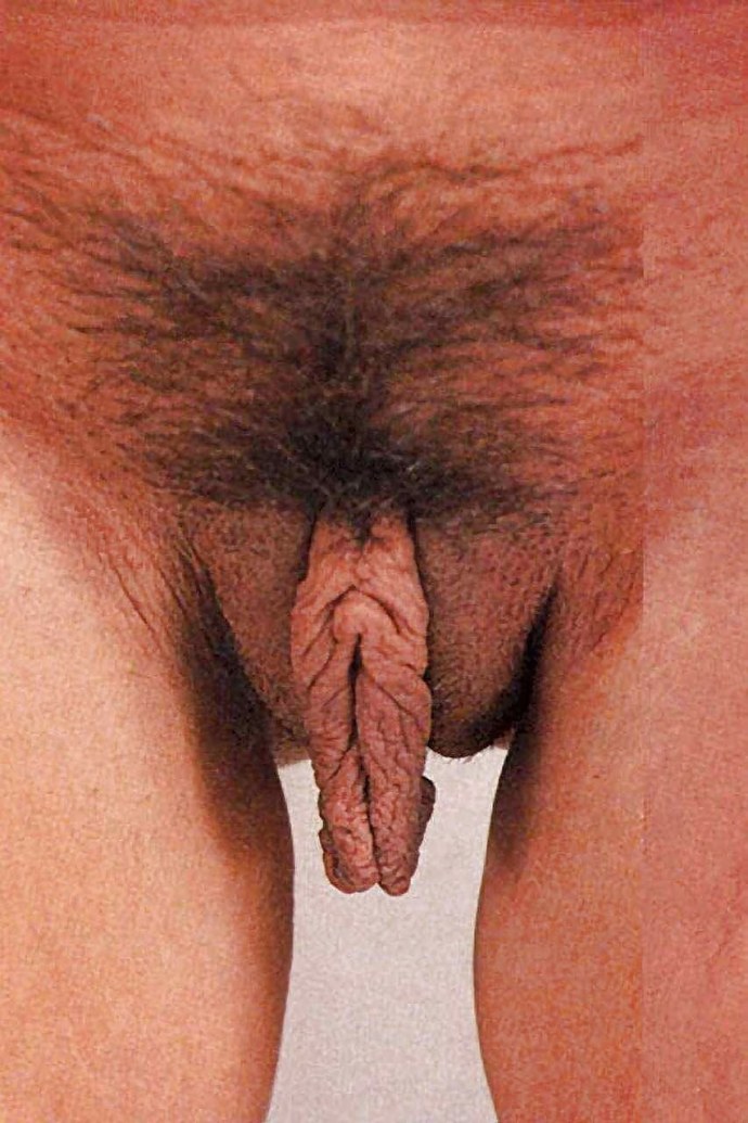 Сара Бартман половые органы