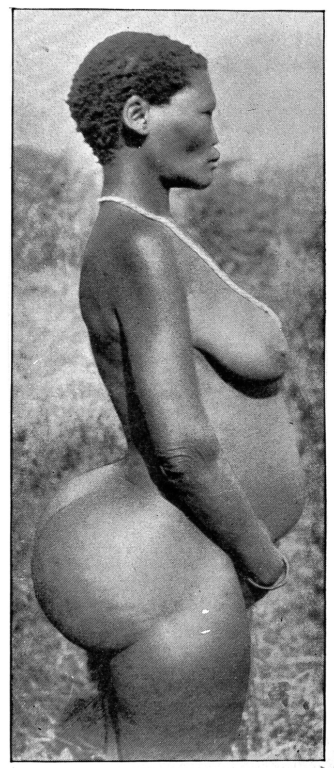 Саарти Бартман половые губы