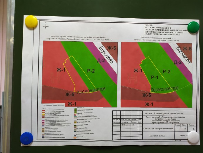 Коллекция мертвых птиц