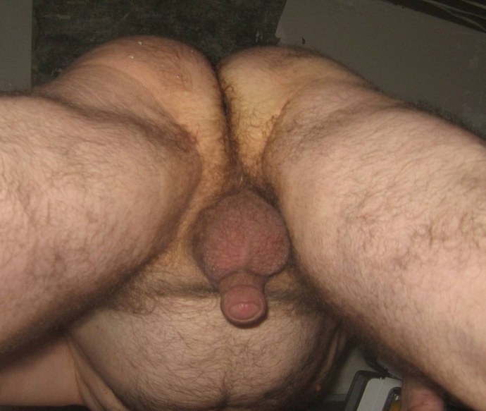 Волосатый член вид снизу