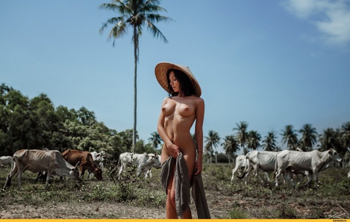 Вьетнамские девушки ню