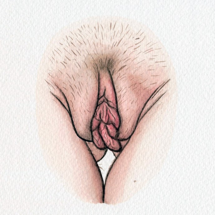 Половая вагина подростка