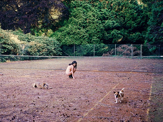 Ленэ Нистрём Растед