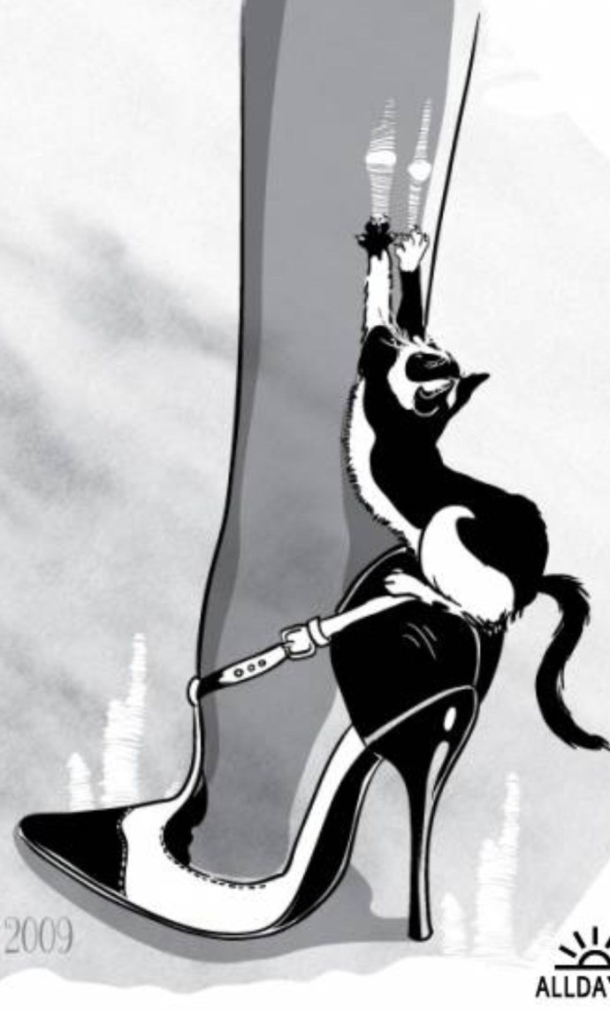 Светлана Подлевская Киев