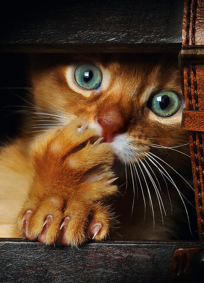 Том Круз смеется