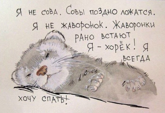 Смешные высказывания про сон