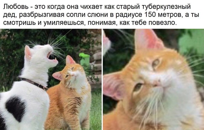 Ахегао Zero two