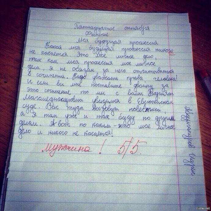 Мини сочинение