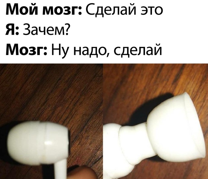 Зачем мозг надо