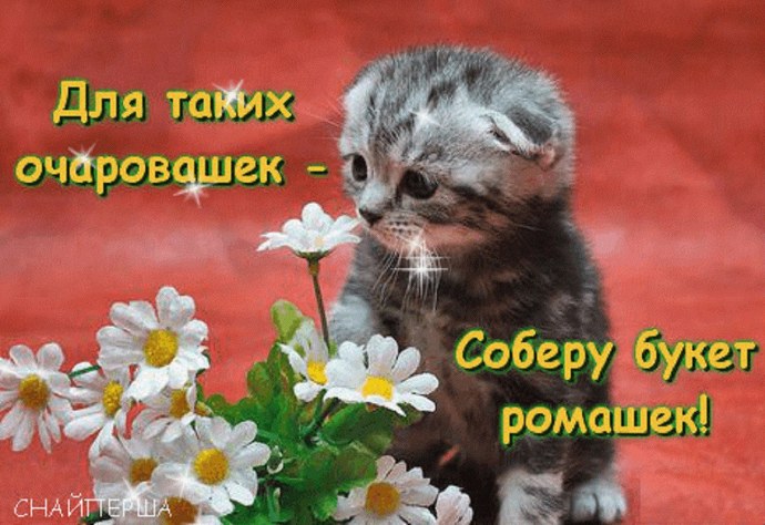 DETENTIONGIRLS - he cant say no when its three against one! S2:e2