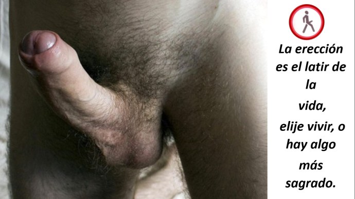 Волосатая головка пениса