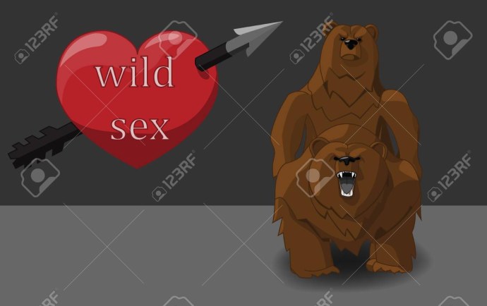 Медведь выебал человека