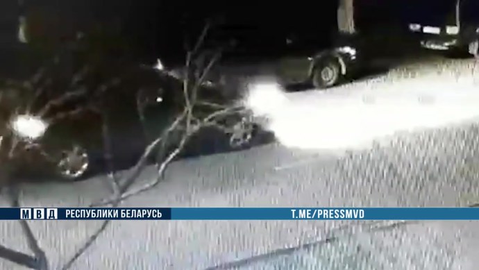 Алла Потехина Гомель Беларусь